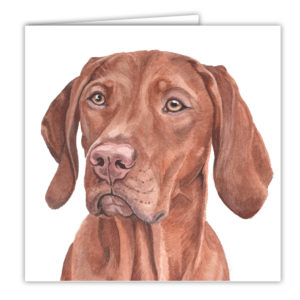 Hungarian Vizsla Dog Art Card / Greetings Card (AC-190)