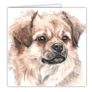 Tibetan Spaniel Dog Art Card / Greetings Card (AC-195)