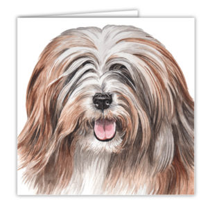 Tibetan Terrier Art Card / Greetings Card (AC-196)