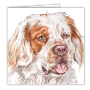 Clumber Spaniel Dog Art Card / Greetings Card (AC-197)