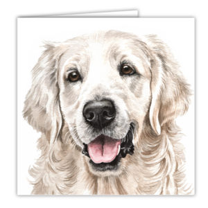 Golden Retriever Art Card / Greetings Card (AC-199)