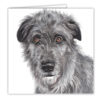 Irish Wolfhound Art Card / Greetings Card (AC-201) - Image 2