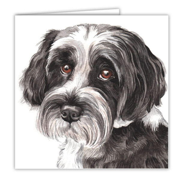 Tibetan Terrier Art Card / Greetings Card (AC-202) - Image 2