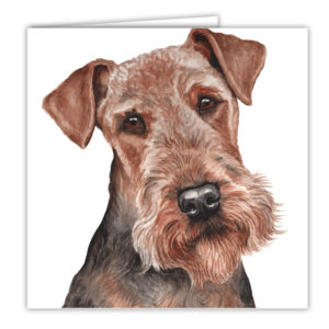 Dog AC-200 Greetings Card Beagle Art Card