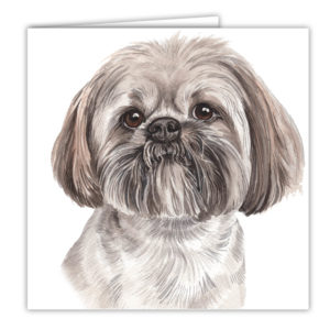 Lhasa Apso Dog Art Card / Greetings Card (AC-207)