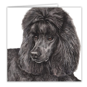 Black Poodle Art Card / Greetings Card (AC-208)