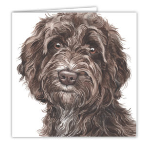 Cockapoo Dog Art Card / Greetings Card (AC-209)