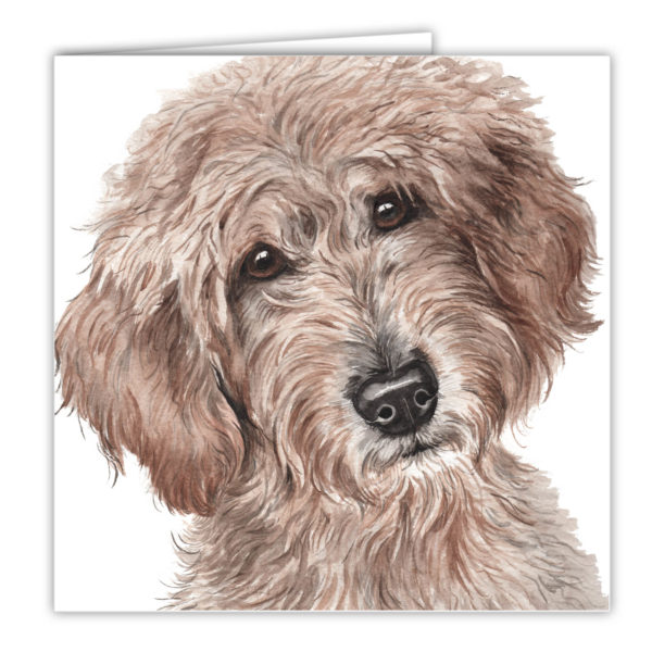 Labradoodle Dog Art Card / Greetings Card (AC-210) - Image 2