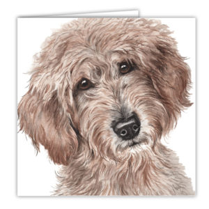 Labradoodle Dog Art Card / Greetings Card (AC-210)