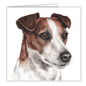 Jack Russell Art Card / Greetings Card (AC-213)