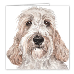 Petit Basset Griffon Vendeen Art Card / Greetings Card (AC-214)