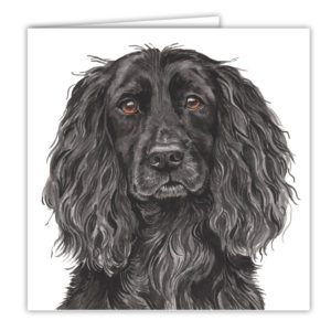 Working Cocker Spaniel Dog Art Card / Greetings Card (AC-215)