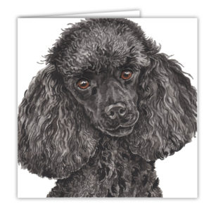 Miniature Poodle Art Card / Greetings Card (AC-217)
