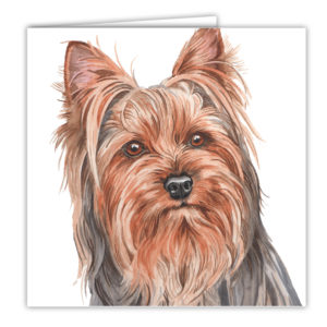 Yorkshire Terrier Art Card / Greetings Card (AC-218)