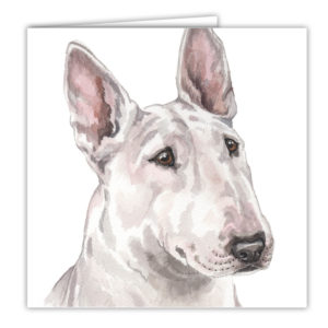 English Bull Terrier Art Card / Greetings Card (AC-219)