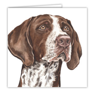 German Shorthaired Pointer Dog Art Card / Greetings Card (AC-221)