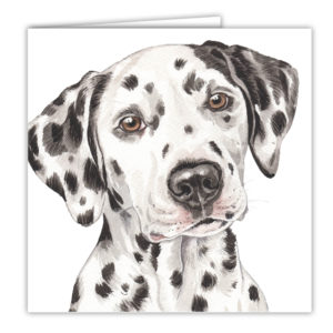 Dalmatian Art Card / Greetings Card (AC-223)