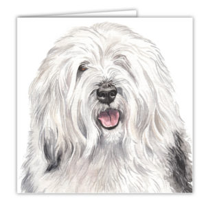 Old English Sheepdog Dog Art Card / Greetings Card (AC-224)