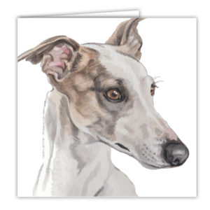 Greyhound Dog Art Card / Greetings Card (AC-225)