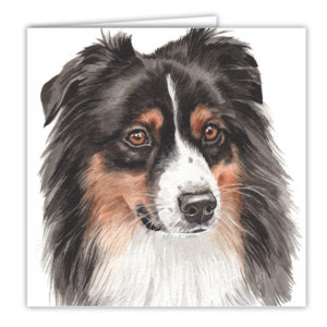 Australian Shepherd Art Card / Greetings Card (AC-226)