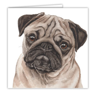 Pug Dog Art Card / Greetings Card (AC-227)
