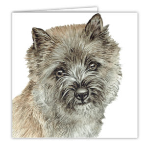 Cairn Terrier Art Card / Greetings Card (AC-230)