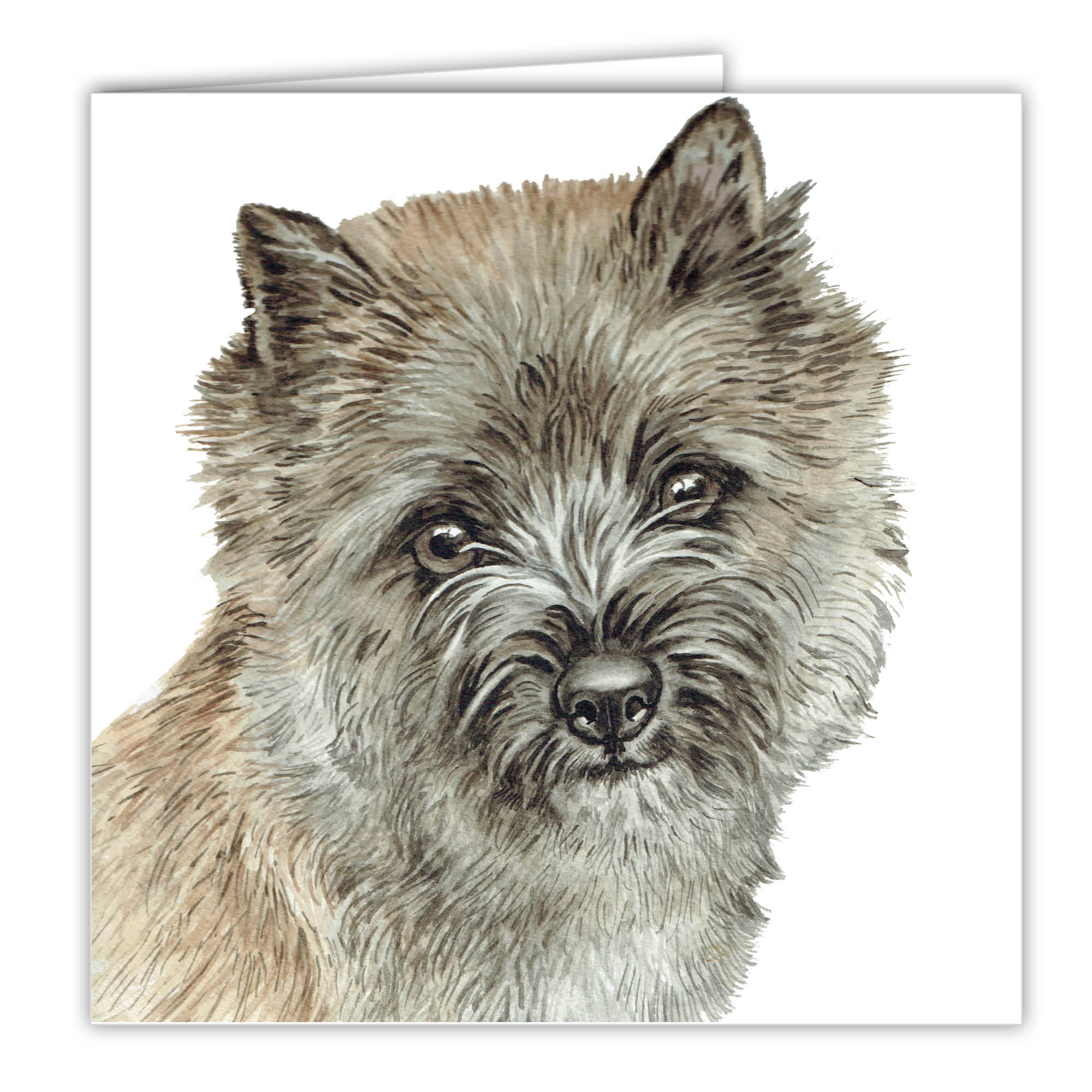 Cairn Terrier Art Card Greetings Card Ac 230 Waggydogz