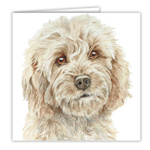 Cockapoo Dog Art Card / Greetings Card (AC-231)