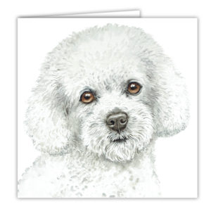 Bichon Frise Art Card / Greetings Card (AC-232)