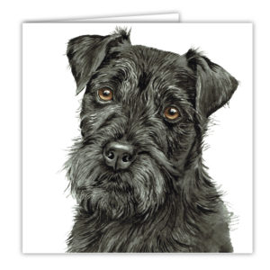 Patterdale Terrier Art Card / Greetings Card (AC-233)