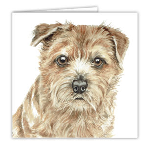 Norfolk Terrier Art Card / Greetings Card (AC-234)