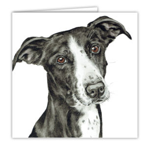 Lurcher Dog Art Card / Greetings Card (AC-235)
