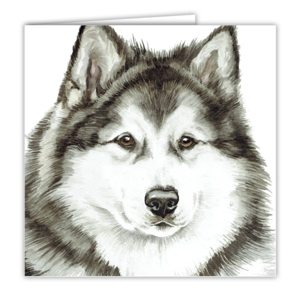 Alaskan Malamute Dog Art Card / Greetings Card (AC-236)
