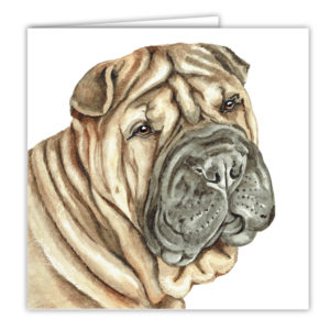 Shar Pei Dog Art Card / Greetings Card (AC-239)
