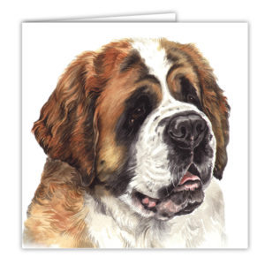 St. Bernard Art Card / Greetings Card (AC-24)