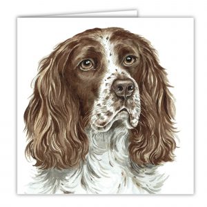 Springer Spaniel Dog Art Card / Greetings Card (AC-243)