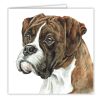 Brindle Boxer Art Card / Greetings Card (AC-244)