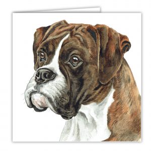 Brindle Boxer Art Card / Greetings Card (AC-244)