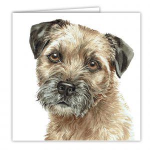 Border Terrier Art Card / Greetings Card (AC-245)