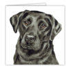 Black Labrador Art Card / Greetings Card (AC-246) - Image 2