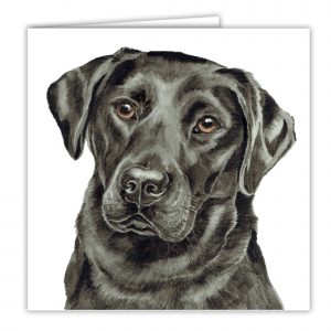 Black Labrador Art Card / Greetings Card (AC-246)