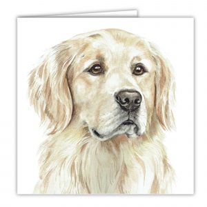 Golden Retriever Art Card / Greetings Card (AC-247)