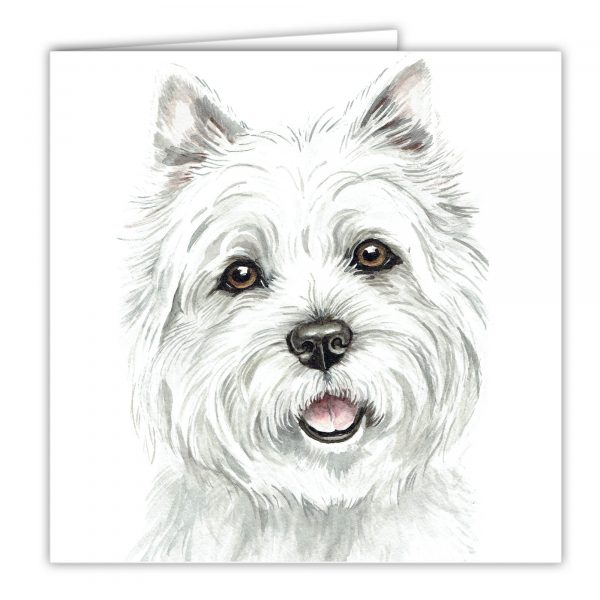 West Highland Terrier Art Card / Greetings Card (AC-248)
