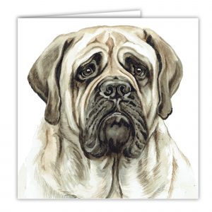 English Bull Mastiff Dog Art Card / Greetings Card (AC-250)