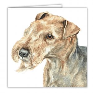 Lakeland Terrier Art Card / Greetings Card (AC-252)