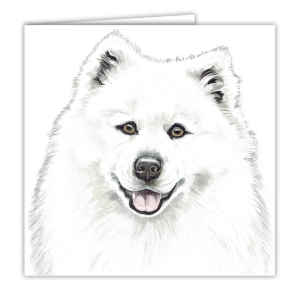 samoyed art card