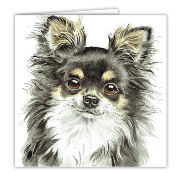 Long Hair Tri Chihuahua Art Card