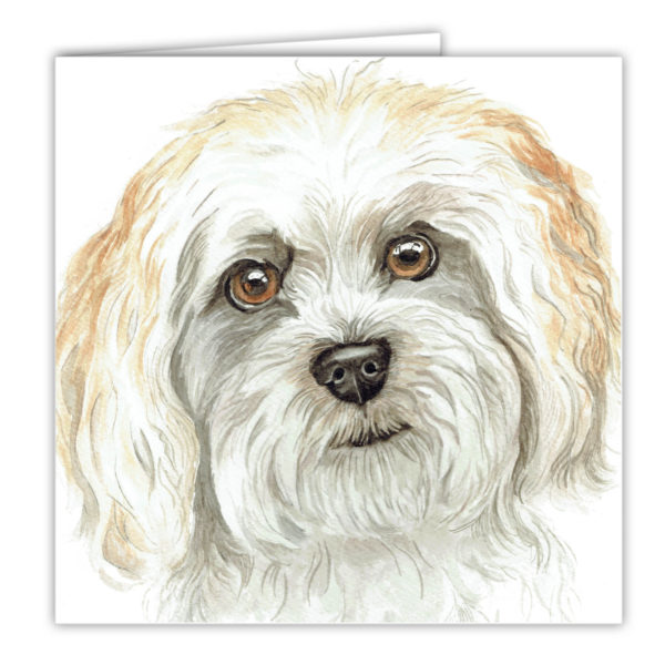 Cavachon Art Card (AC-256)