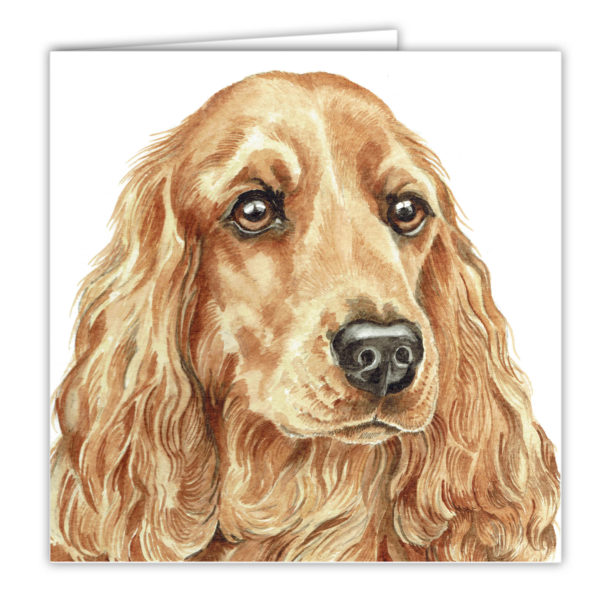 Golden Cocker Spaniel Art Card AC-258