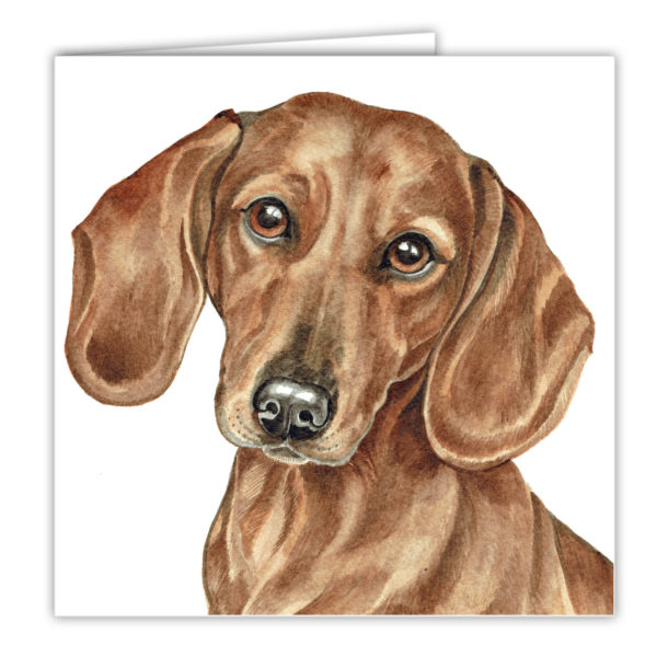 Red Dachshund Art Card (AC-261)